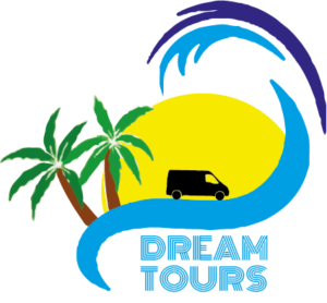 my dream is tours
